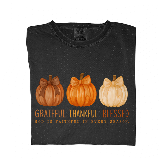 Grateful, Thankful, Blessed Pumpkin Trio