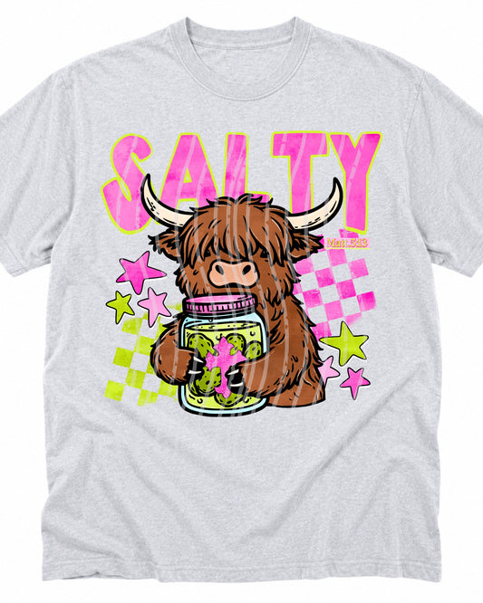Salty Matthew 5:13