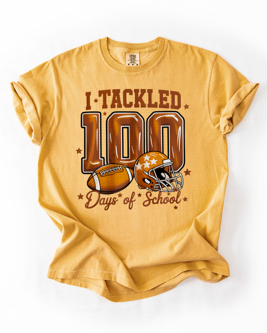I tackled 100 days of school