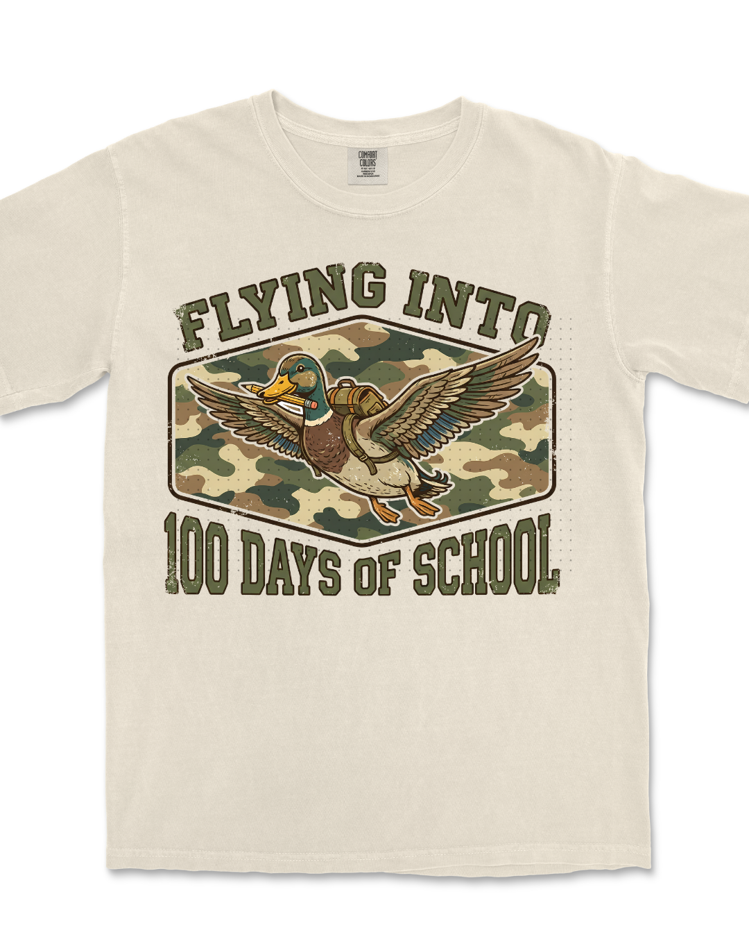 Flying into 100 days of school