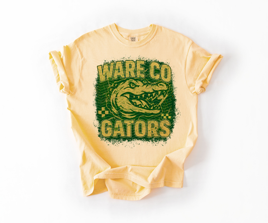 Gators Spirit Splash