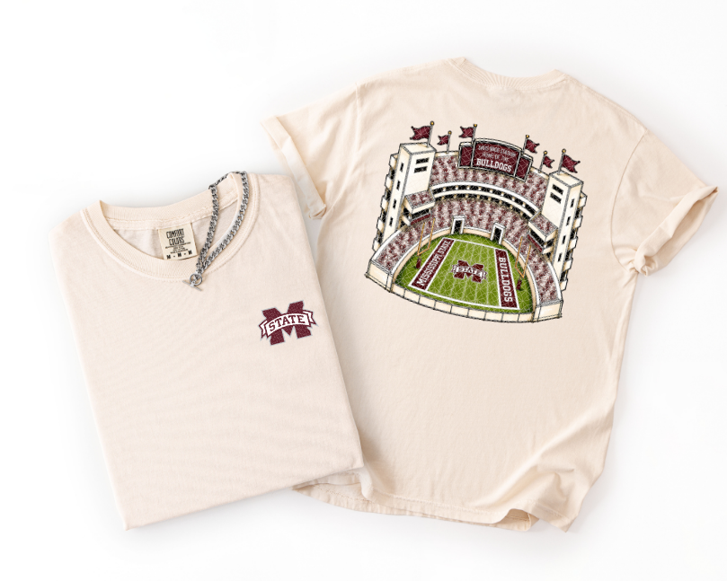 MS Watercolor Stadium