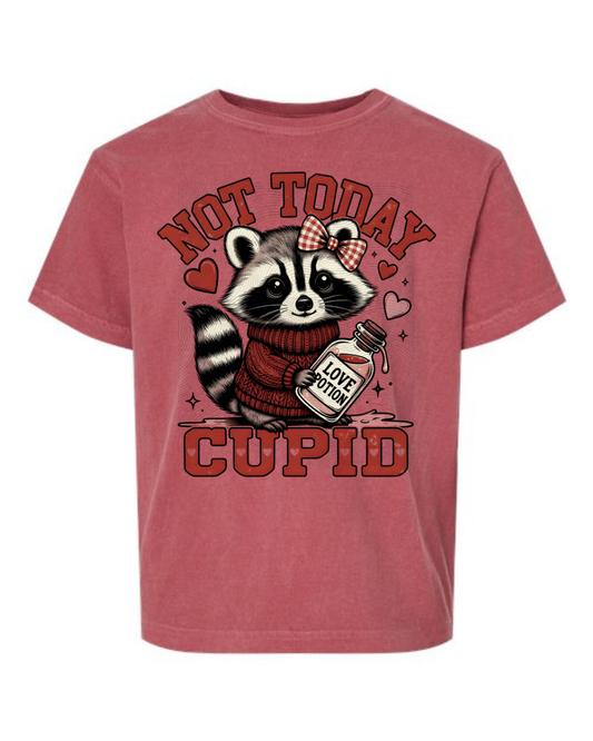 No Love Potion Today