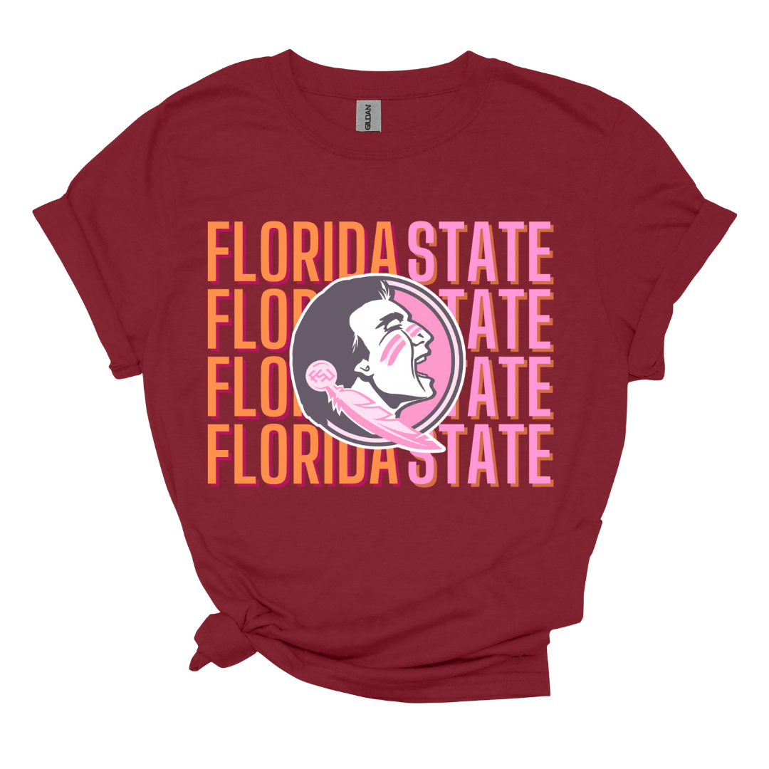 Florida State Repeat Pink/Orange – We Are DTF Transfers