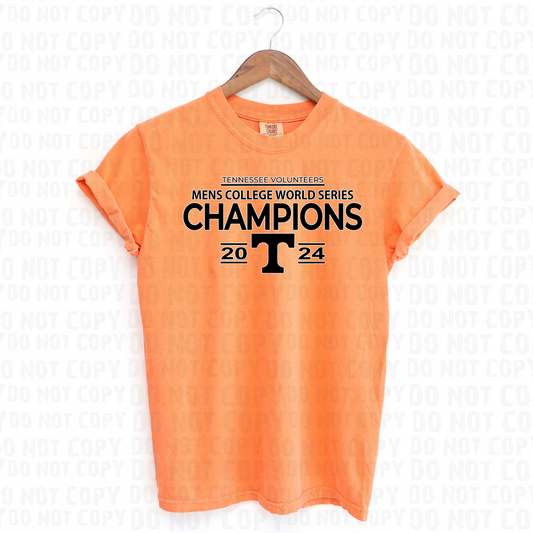 VOLS baseball champions- white and black