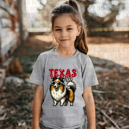 Doodle Mascot - Texas A&M