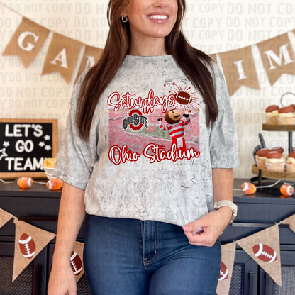 Saturdays in the Stadium - Ohio