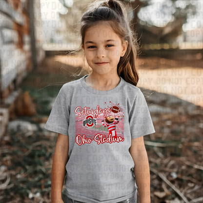 Saturdays in the Stadium - Ohio